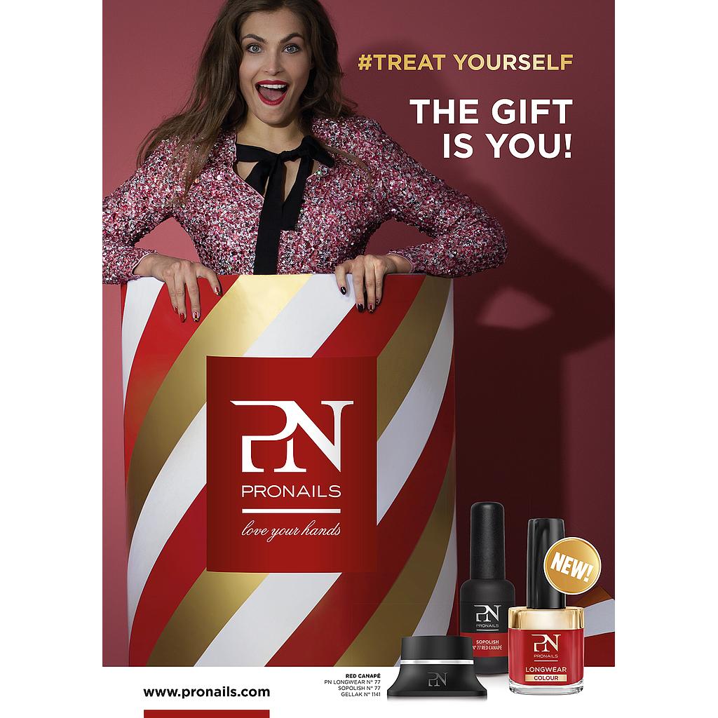 PN Poster Generico Navidad 50 x 70 cm variados hasta fin de existencias